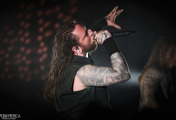 Ingested - Photo By Peti