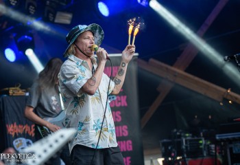 Insanity Alert - Photo by Dänu