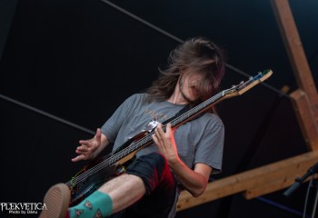 Insanity Alert - Photo by Dänu