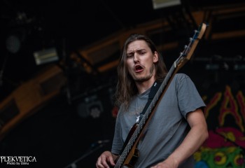 Insanity Alert - Photo by Dänu