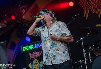 Insanity Alert - Photo by Dänu