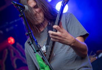 Insanity Alert - Photo by Dänu