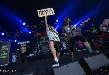 Insanity Alert - Photo by Dänu