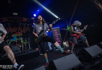 Insanity Alert - Photo by Dänu