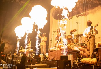 Kanonenfieber - Photo by Roli