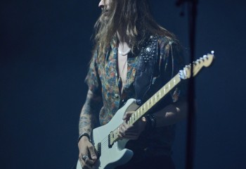 King Zebra - Photo By Peti