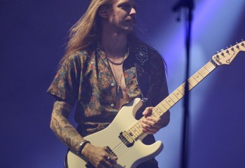 King Zebra - Photo By Peti