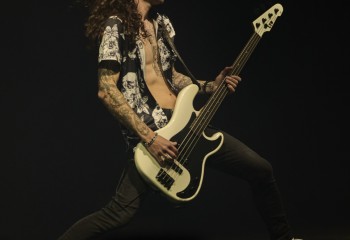 King Zebra - Photo By Peti