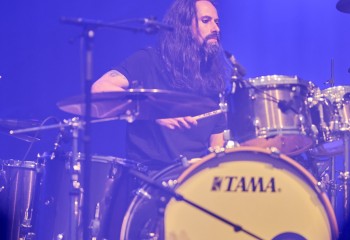 King Zebra - Photo By Peti