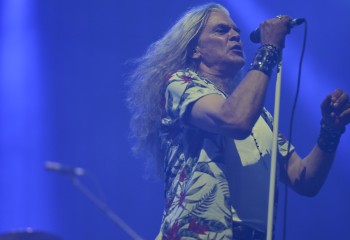 King Zebra - Photo By Peti