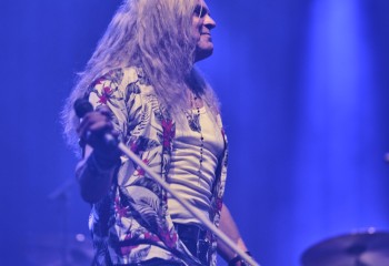 King Zebra - Photo By Peti