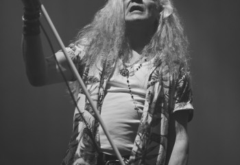 King Zebra - Photo By Peti