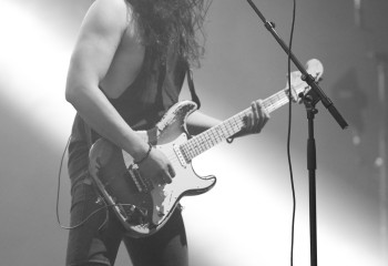 King Zebra - Photo By Peti