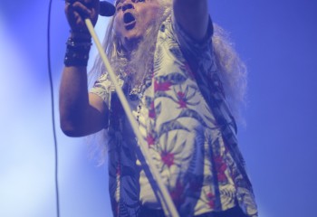 King Zebra - Photo By Peti