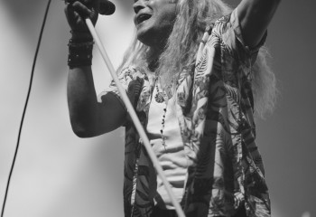 King Zebra - Photo By Peti