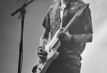 King Zebra - Photo By Peti