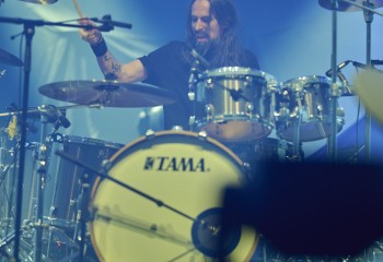 King Zebra - Photo By Peti