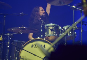 King Zebra - Photo By Peti