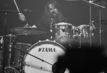 King Zebra - Photo By Peti