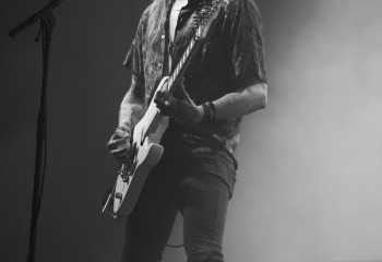 King Zebra - Photo By Peti