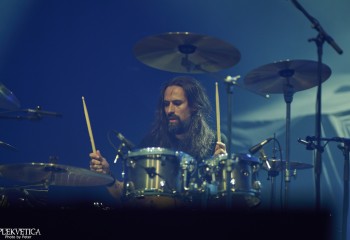 King Zebra - Photo By Peti