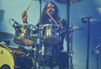 King Zebra - Photo By Peti