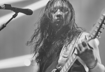 King Zebra - Photo By Peti