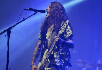 King Zebra - Photo By Peti