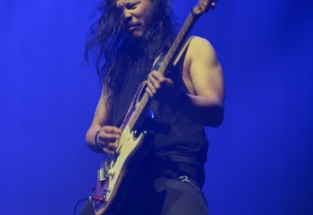 King Zebra - Photo By Peti