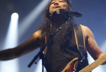 King Zebra - Photo By Peti