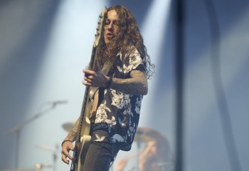 King Zebra - Photo By Peti