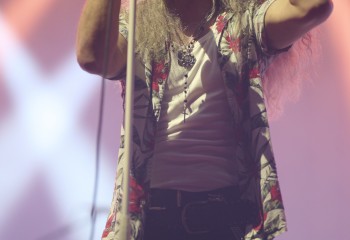 King Zebra - Photo By Peti