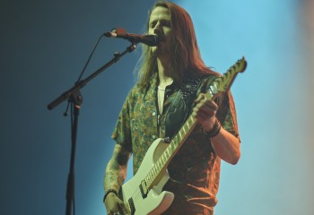 King Zebra - Photo By Peti