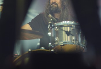 King Zebra - Photo By Peti