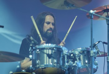 King Zebra - Photo By Peti