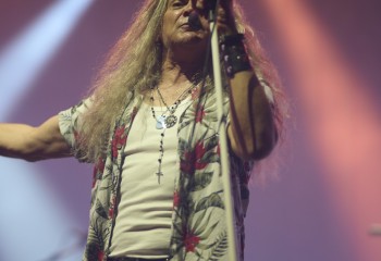 King Zebra - Photo By Peti