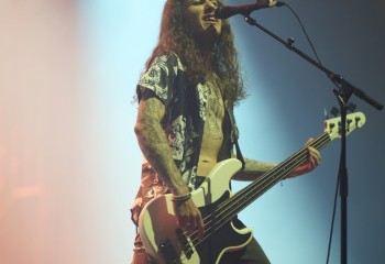 King Zebra - Photo By Peti