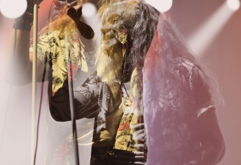 King Zebra - Photo By Peti