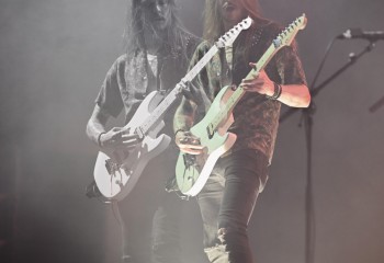 King Zebra - Photo By Peti