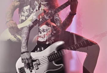 King Zebra - Photo By Peti