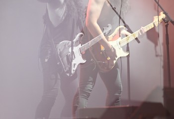 King Zebra - Photo By Peti