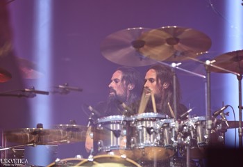 King Zebra - Photo By Peti