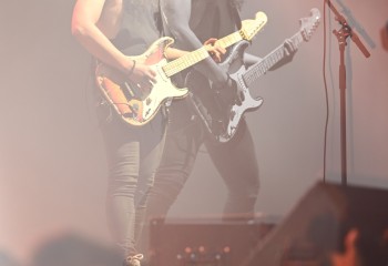 King Zebra - Photo By Peti