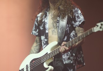 King Zebra - Photo By Peti