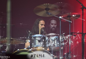 King Zebra - Photo By Peti