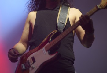 King Zebra - Photo By Peti