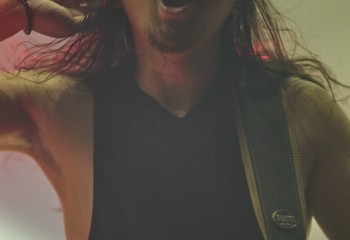 King Zebra - Photo By Peti