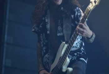 King Zebra - Photo By Peti