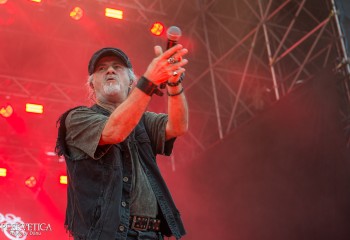 Krokus - Photo by Dänu