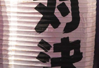 Rise of the Northstar - Photo by Pat